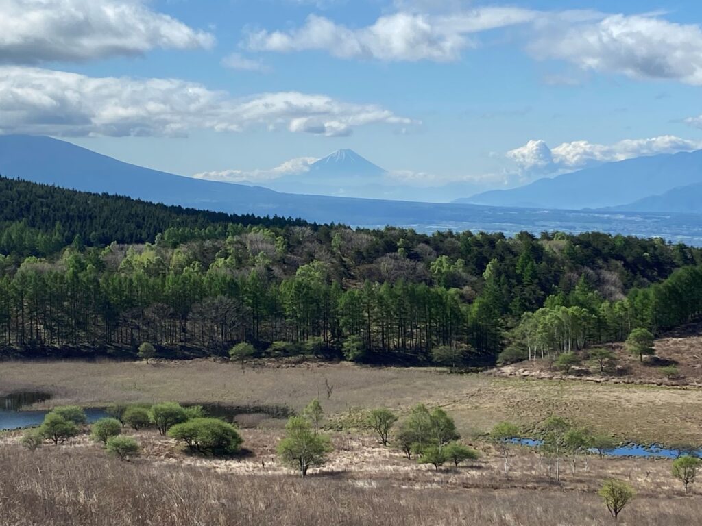 霧ヶ峰高原