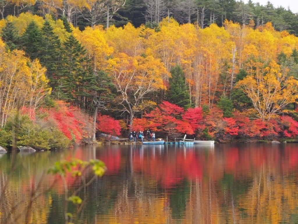 白駒池　北八ヶ岳