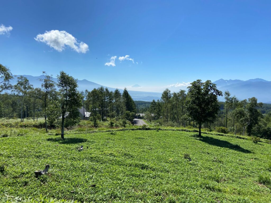 富士山　八ヶ岳　南アルプス　別荘地　眺望