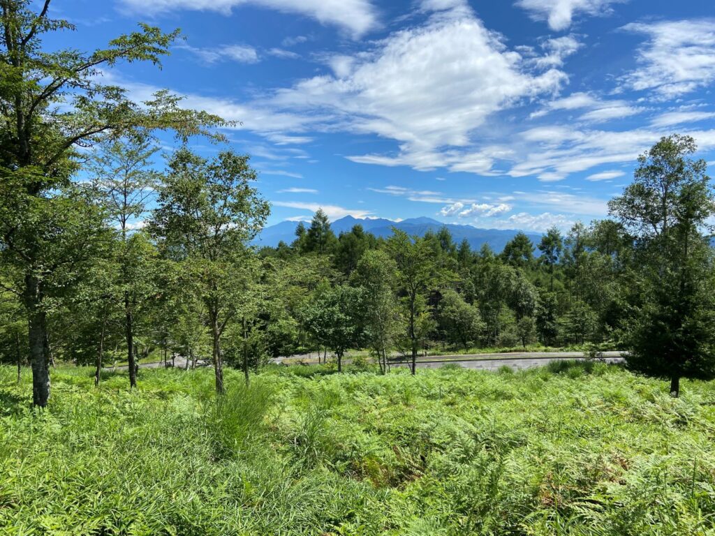 霧ヶ峰高原別荘地　眺望の良い別荘地