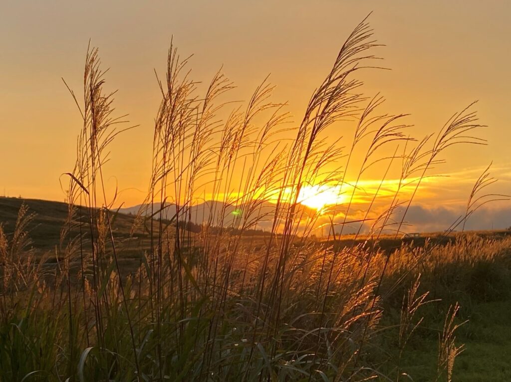 霧ヶ峰　夕暮れ