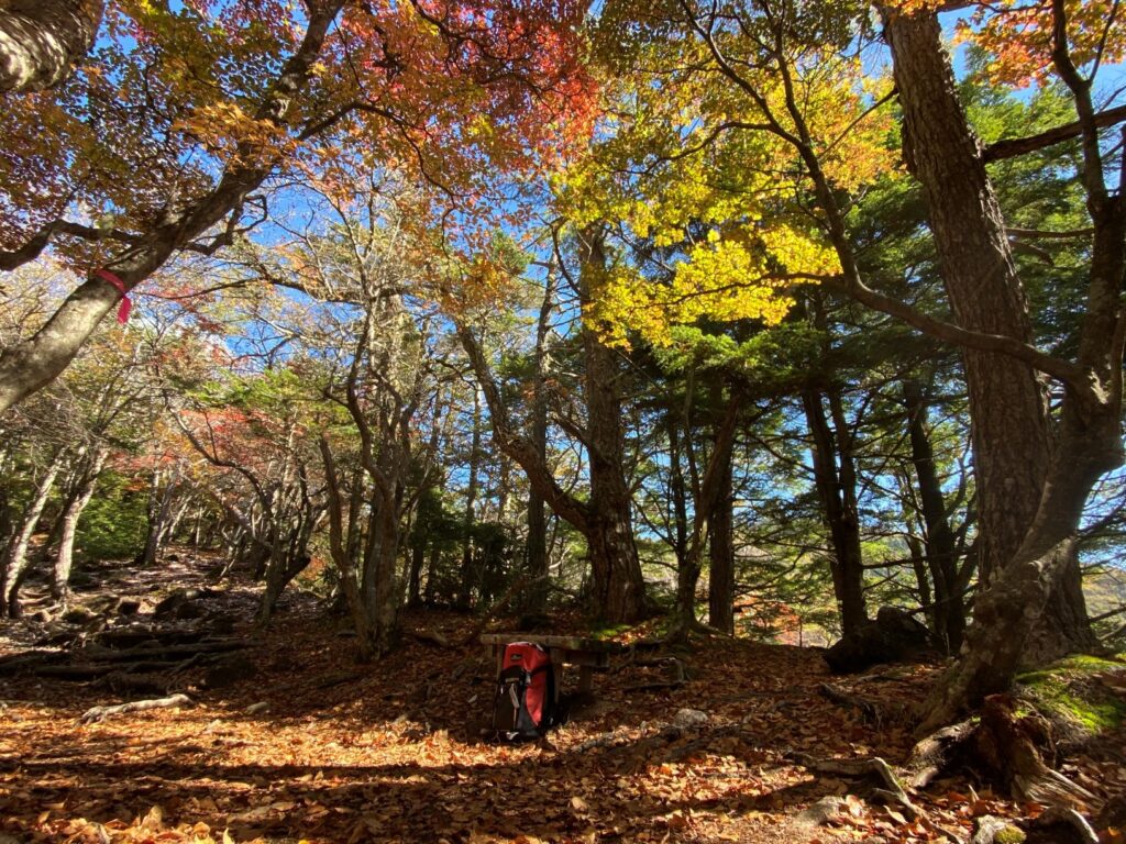 権現岳　八ヶ岳　観音平