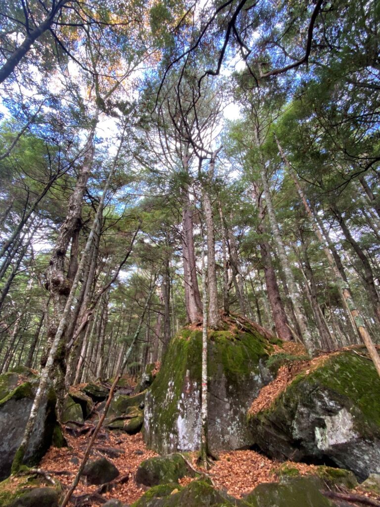 編笠山　別荘地　登山