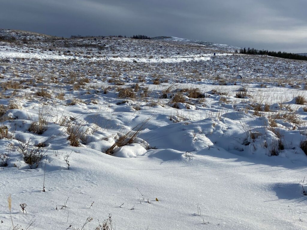 霧ヶ峰　車山
別荘地　雪