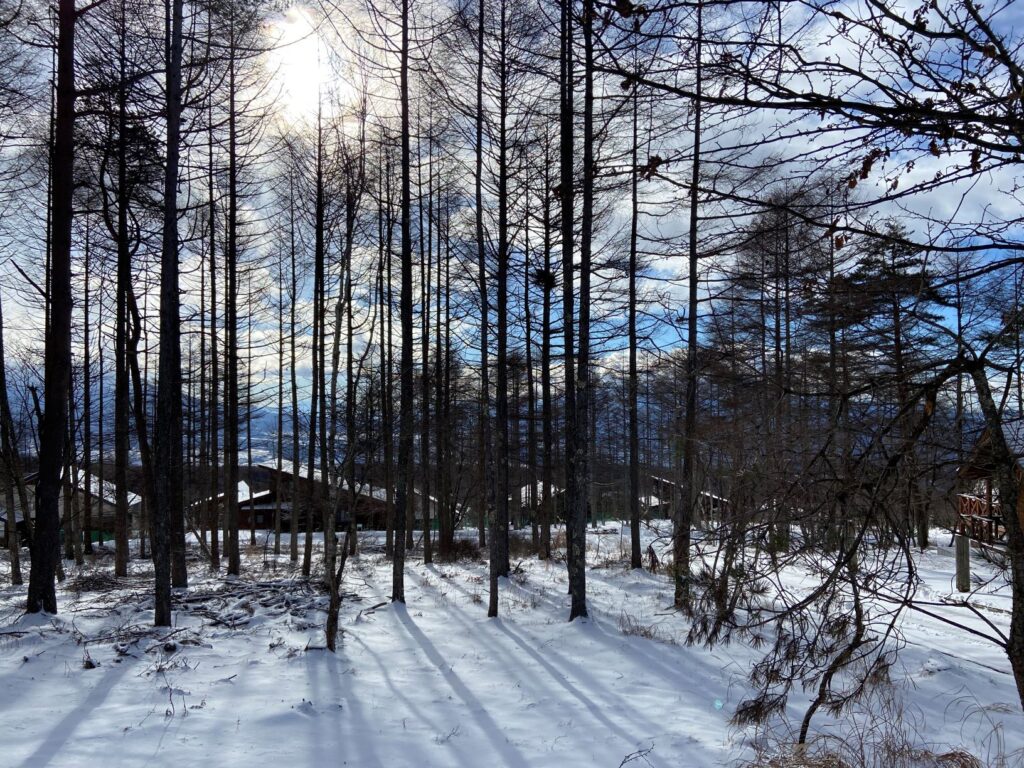 冬の別荘地