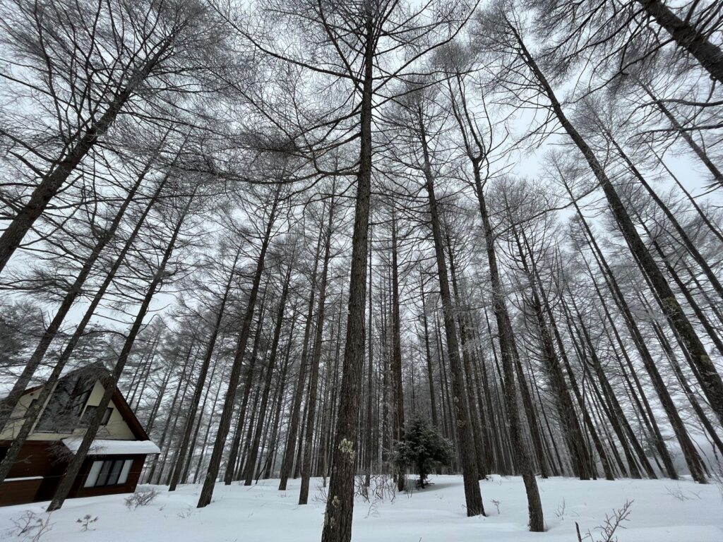 霧ヶ峰　別荘の冬