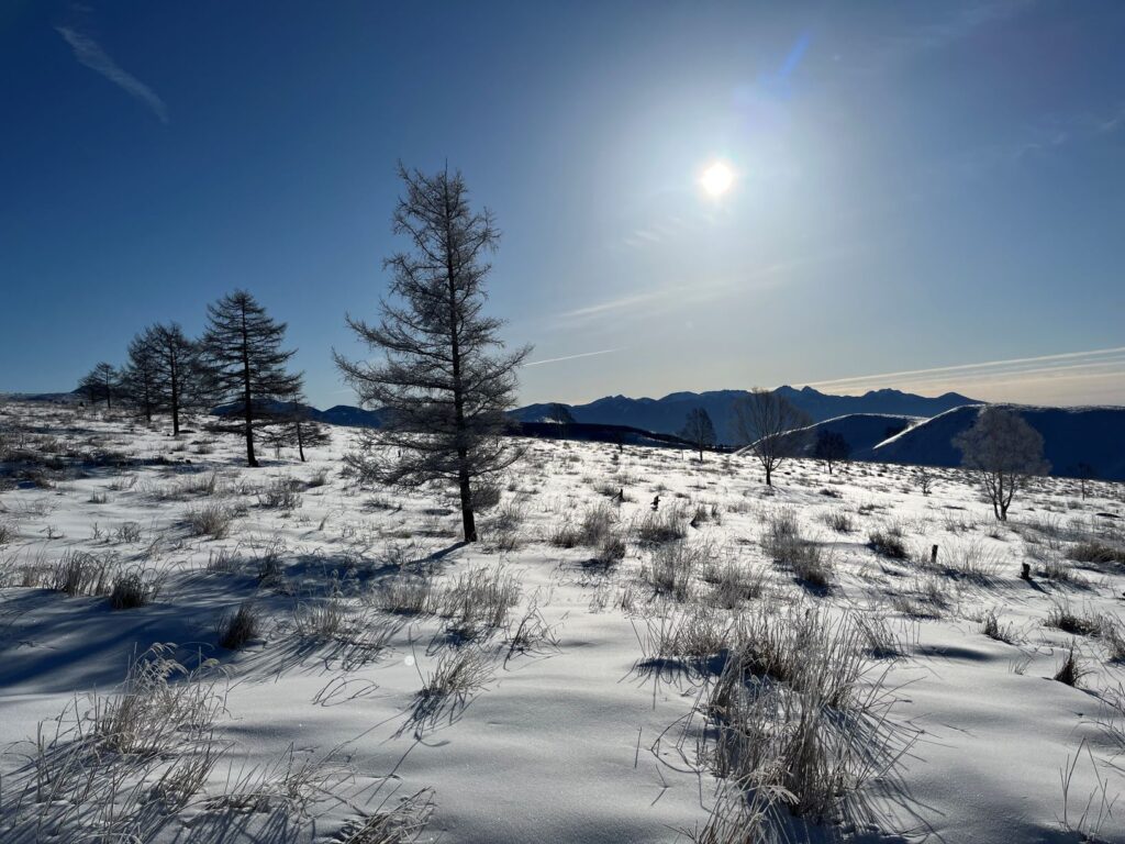 霧ヶ峰　ゲエロッパラ付近