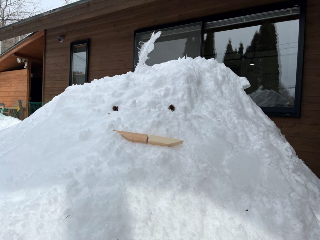 別荘地　雪遊び