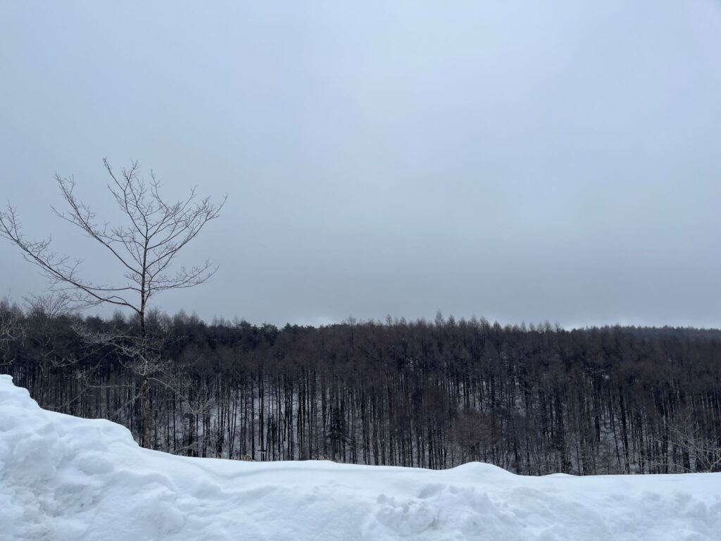 霧ヶ峰　別荘の冬