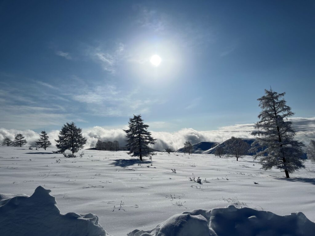 霧ヶ峰　冬　別荘地
別荘の冬　別荘の雪