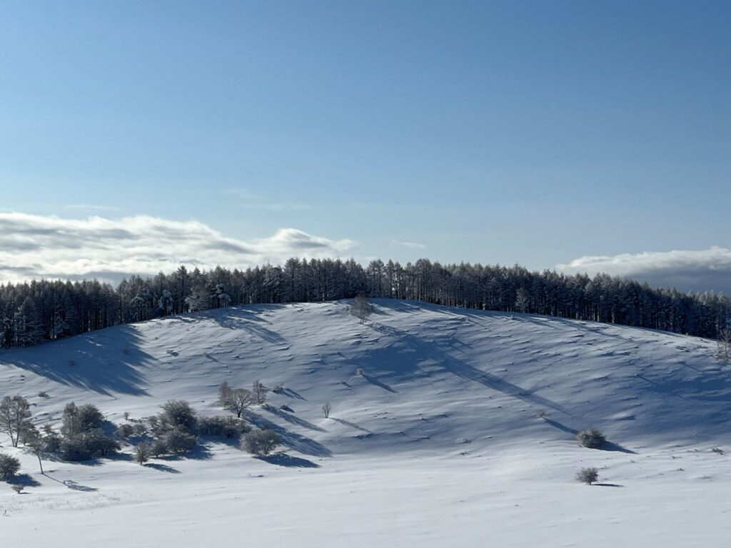 霧ヶ峰　冬　別荘地
別荘の冬　別荘の雪