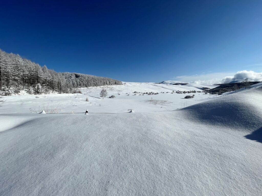 霧ヶ峰　冬　別荘地
別荘の冬　別荘の雪