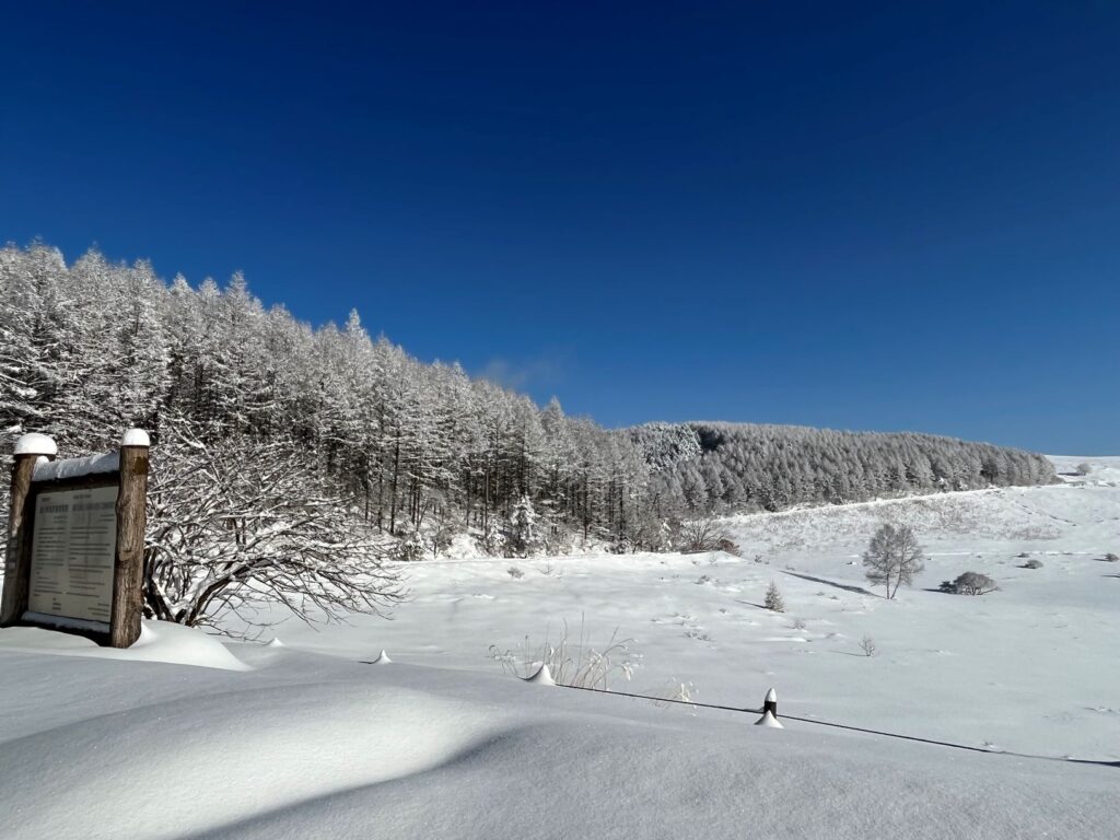 霧ヶ峰　冬　別荘地
別荘の冬　別荘の雪