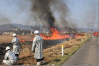 上川のヨシ焼き