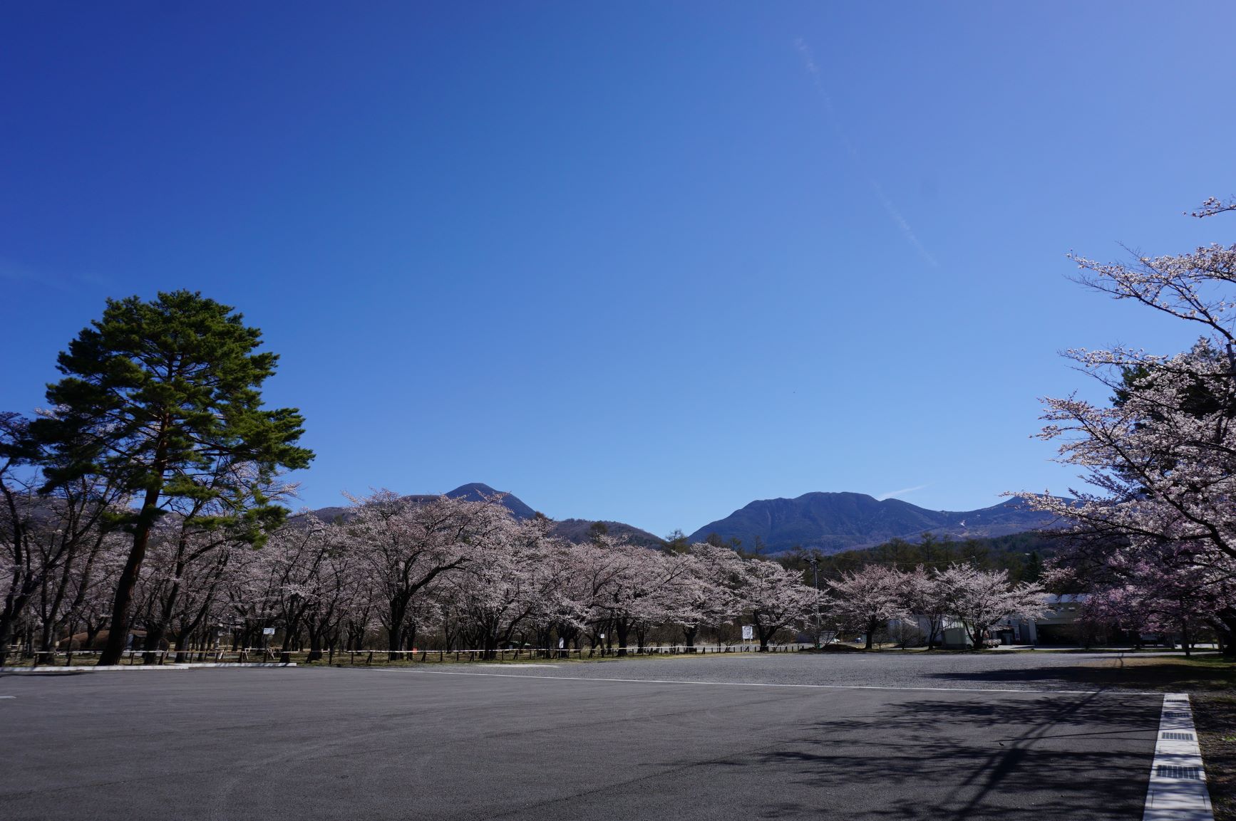 蓼科湖　聖光寺