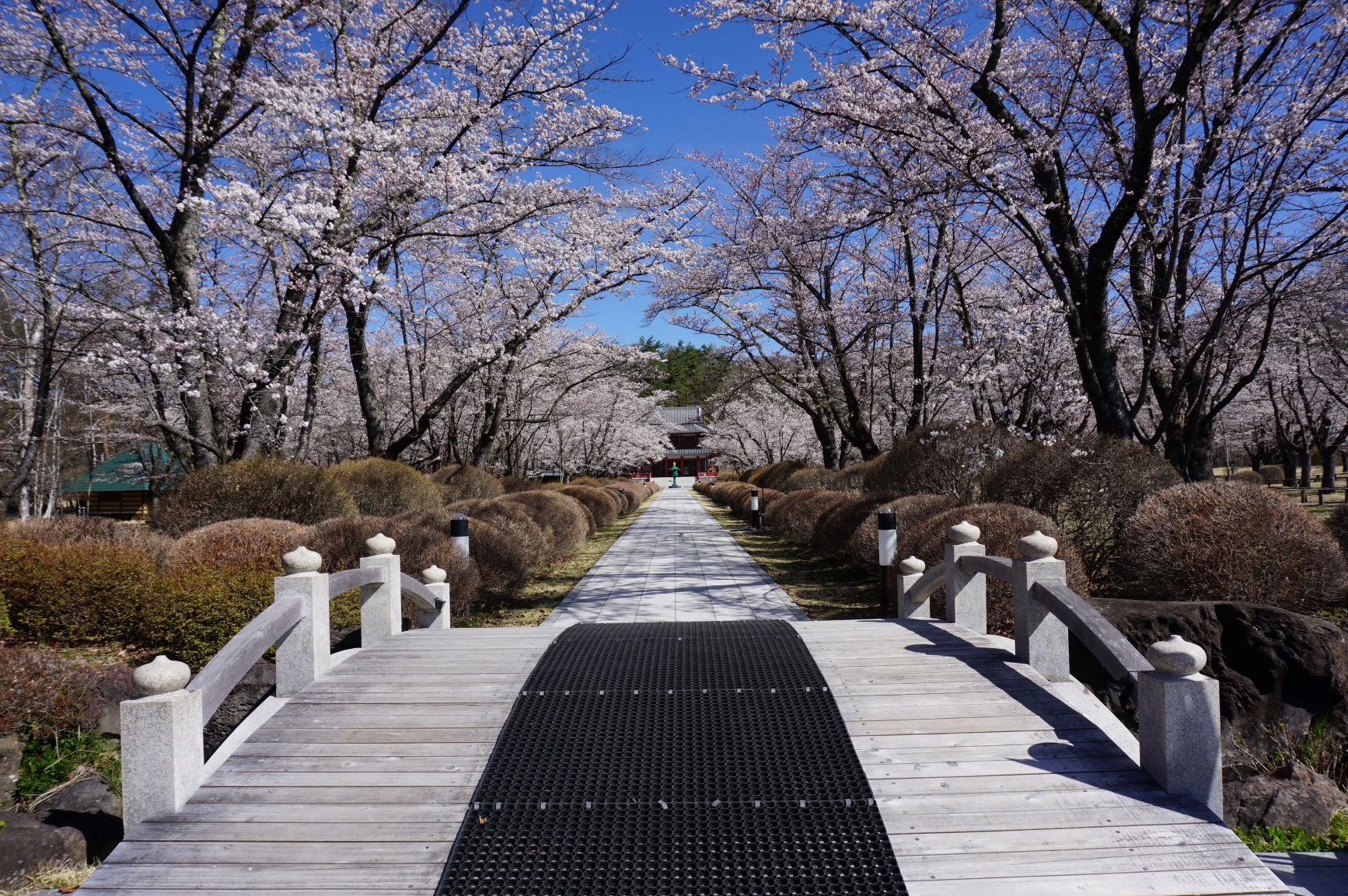 蓼科湖　聖光寺