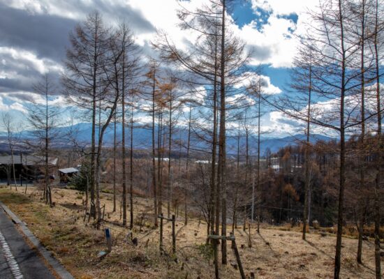 富士山が見えるビバルデの丘おすすめ物件