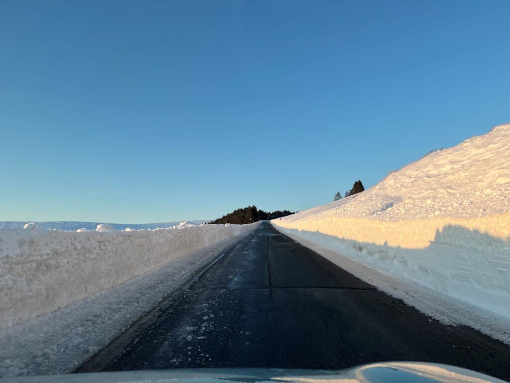 霧ヶ峰　通行止め　解除