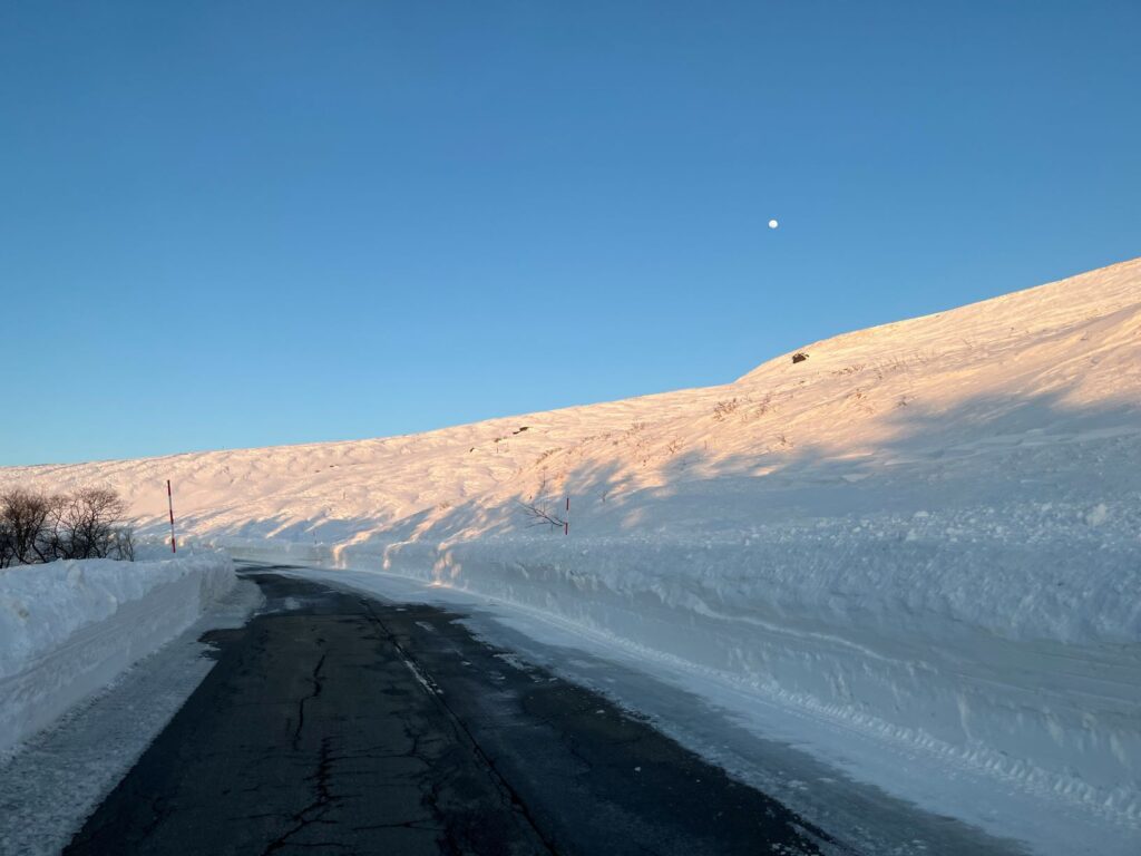 霧ヶ峰　通行止め　解除