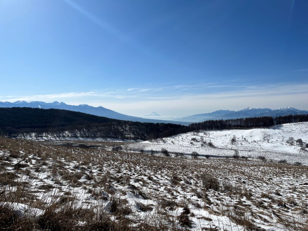 霧ヶ峰　春