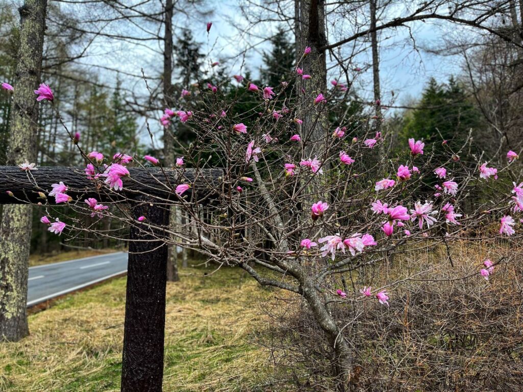 別荘地までの道のり