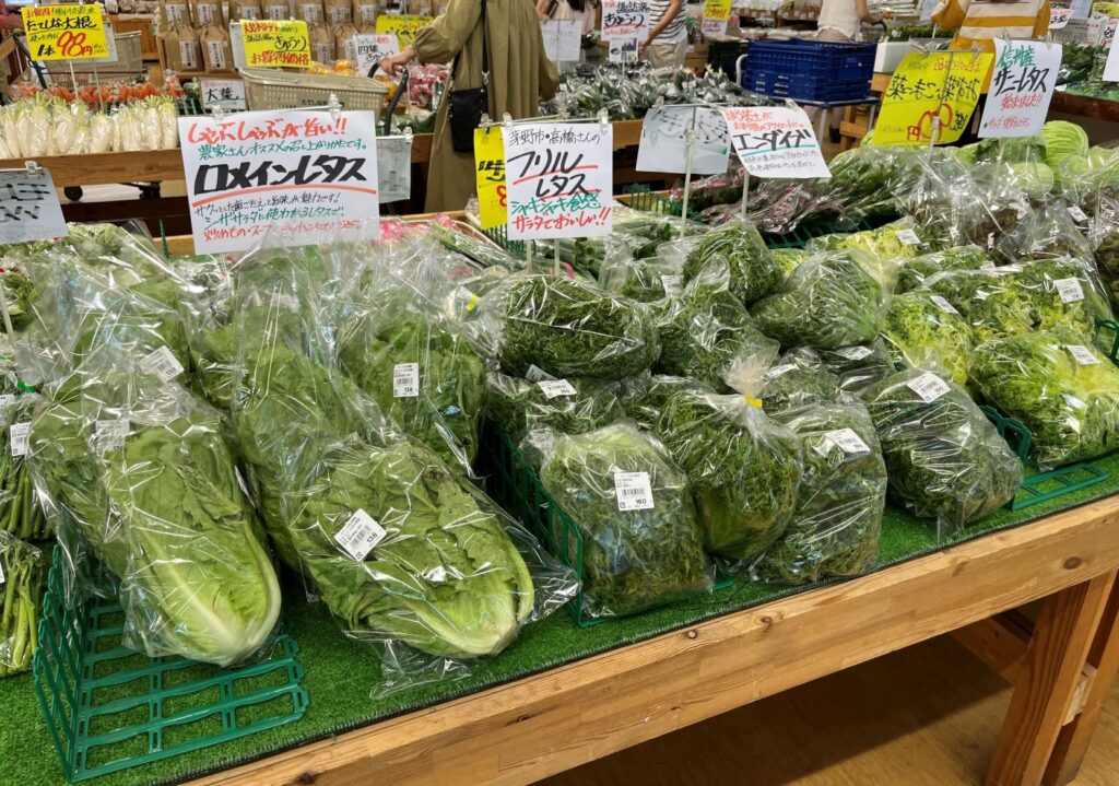 蓼科自由農園　新鮮野菜　花　園芸　蓼科　たてしな　八ヶ岳の野菜