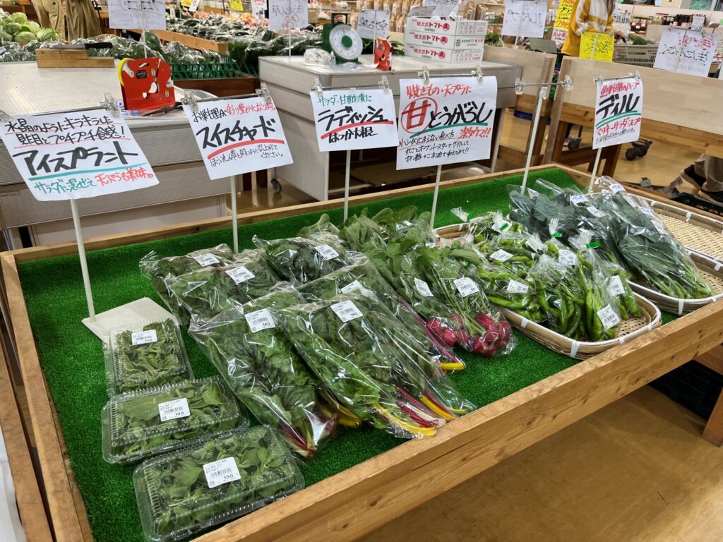 蓼科自由農園　新鮮野菜　花　園芸　蓼科　たてしな　八ヶ岳の野菜