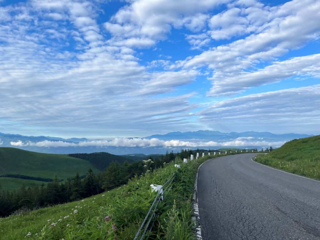 霧ヶ峰～白樺湖　
ビーナスライン
ドライブ
夏