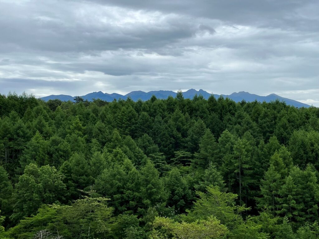 霧ヶ峰　曇空　八ヶ岳