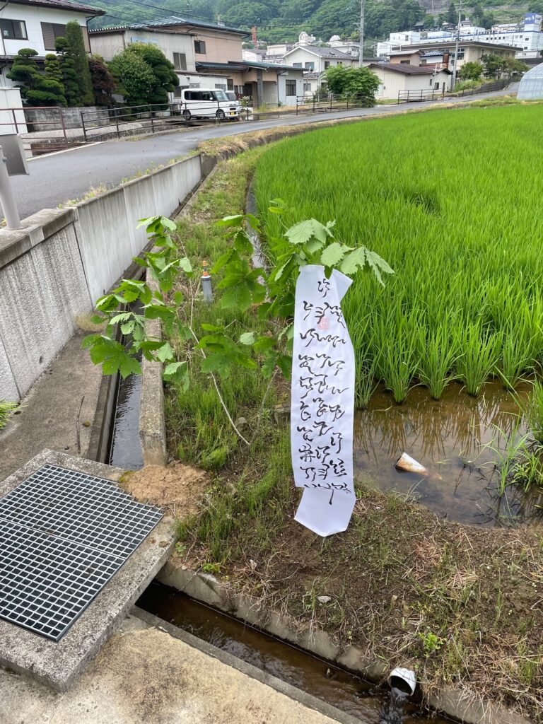 ビバルデの丘
スタッフブログ
諏訪
神社
伝統
稲虫祭り
田んぼ
豊作祈願
楢の木