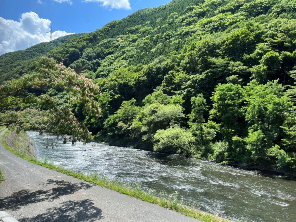 やなのうなぎ観光荘
鰻
うなぎ
岡谷