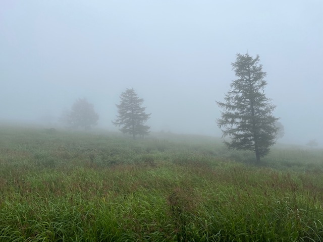 霧ヶ峰