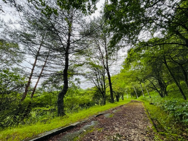 霧ヶ峰　別荘地　遊歩道