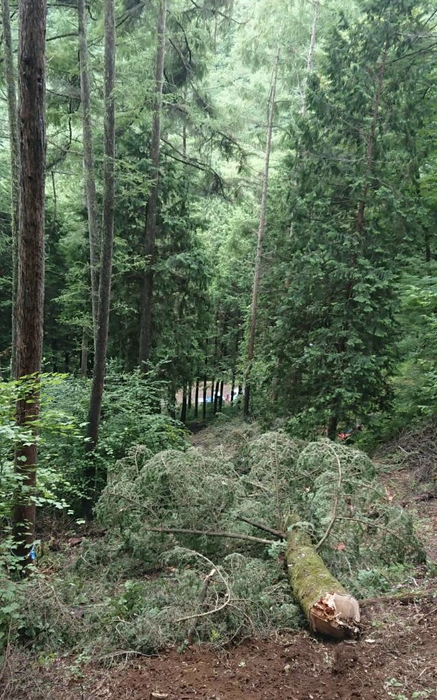 ビバルデの丘
スタッフブログ
スタッフ
霧ヶ峰
休日
御柱
御柱祭
モミの木
伐採
圧巻