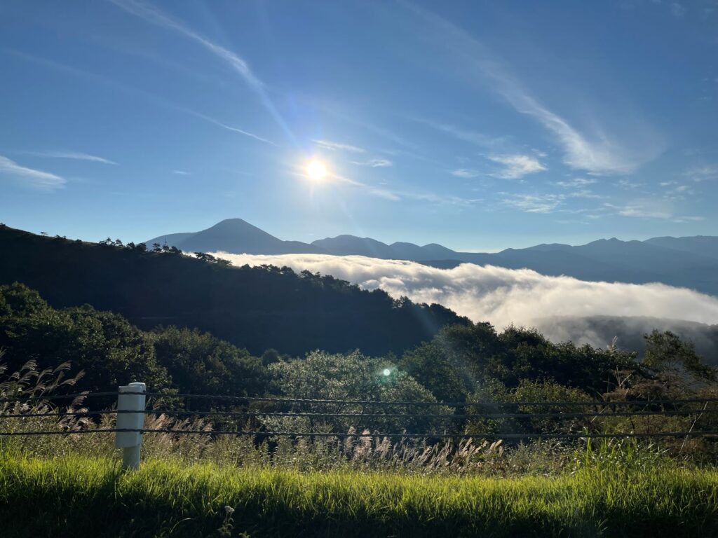 ビーナスライン
雲海
八ヶ岳