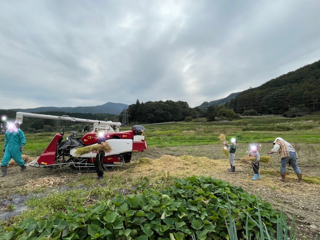 霧ヶ峰
霧ヶ峰高原
諏訪
諏訪市
ビバルデの丘
スタッフブログ
実家
田んぼ
冬支度
コンバイン
稲刈り
土作り
お米
収穫量
お手伝い