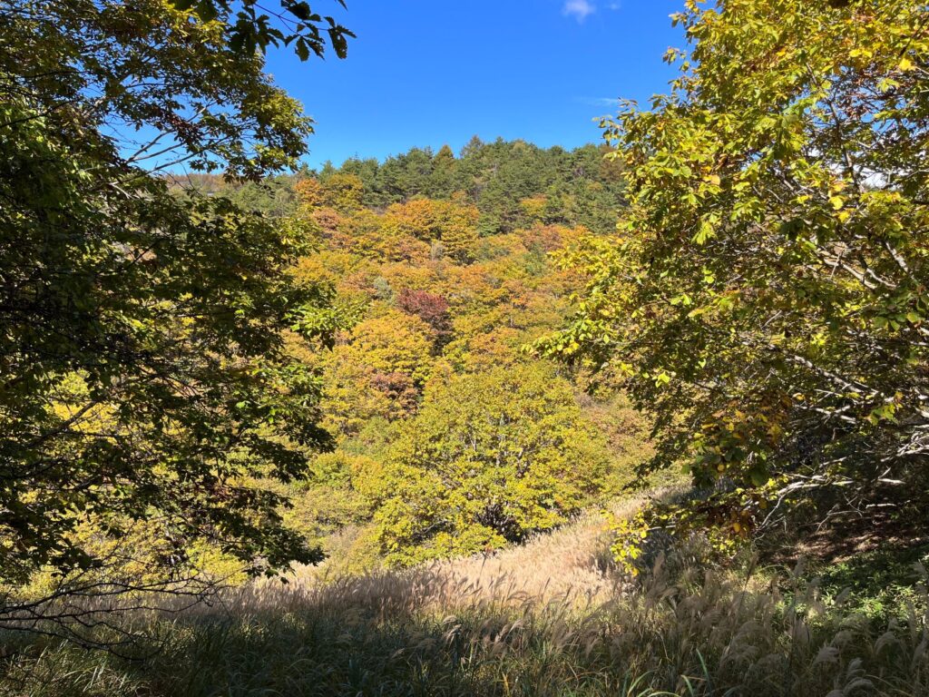 紅葉　美しい別荘地
紅葉の美しい別荘地