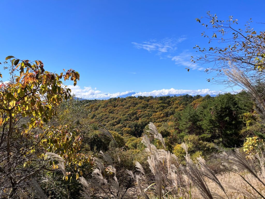 紅葉　美しい別荘地
紅葉の美しい別荘地