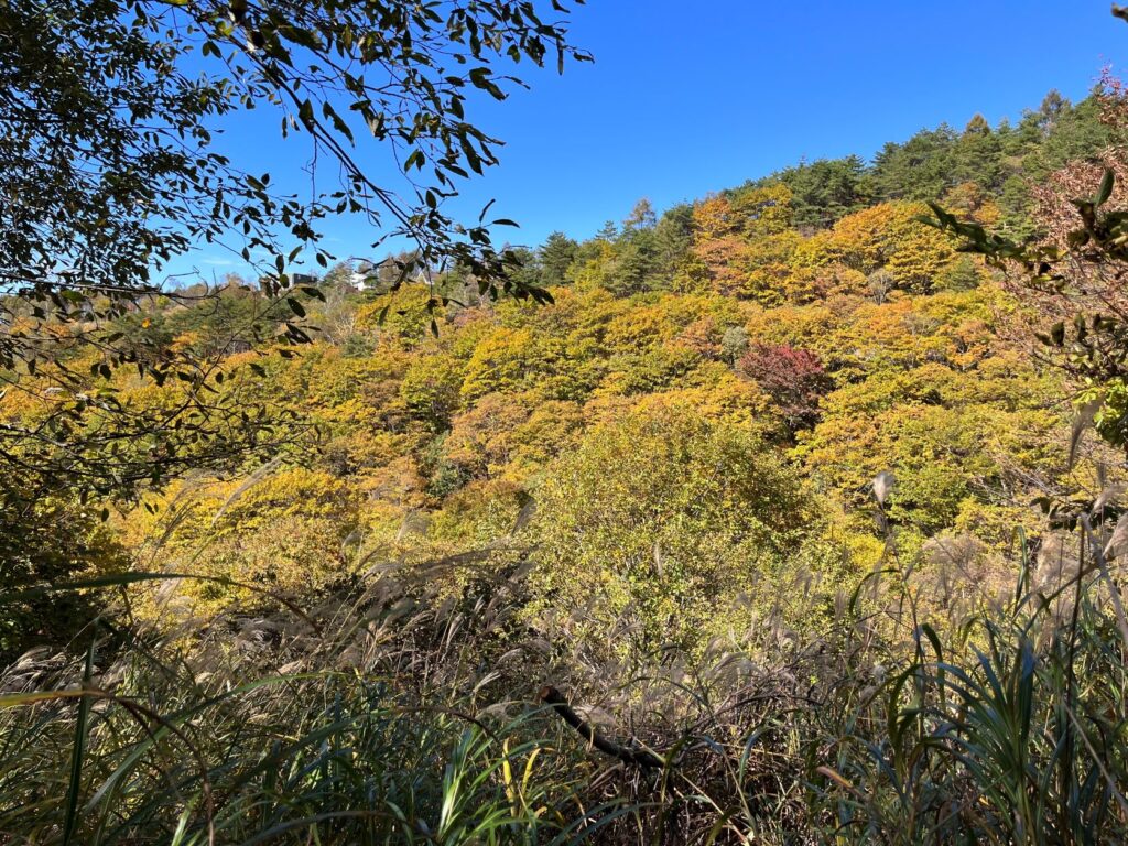 紅葉　美しい別荘地
紅葉の美しい別荘地