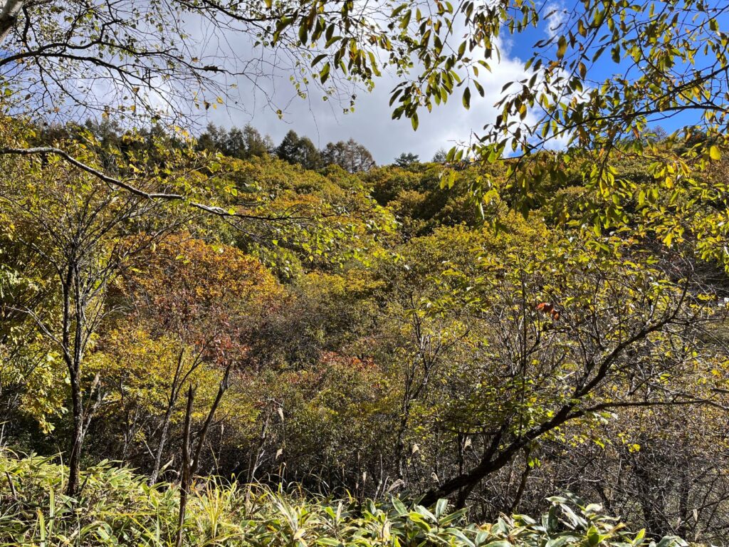 紅葉　美しい別荘地
紅葉の美しい別荘地