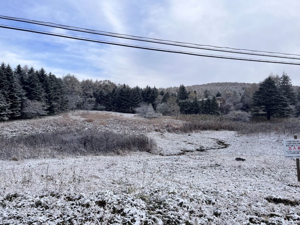 初雪　霧ヶ峰