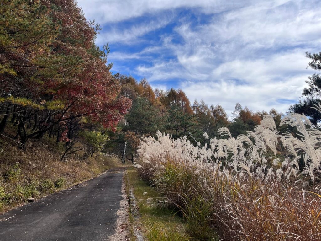 別荘地の紅葉
霧ヶ峰