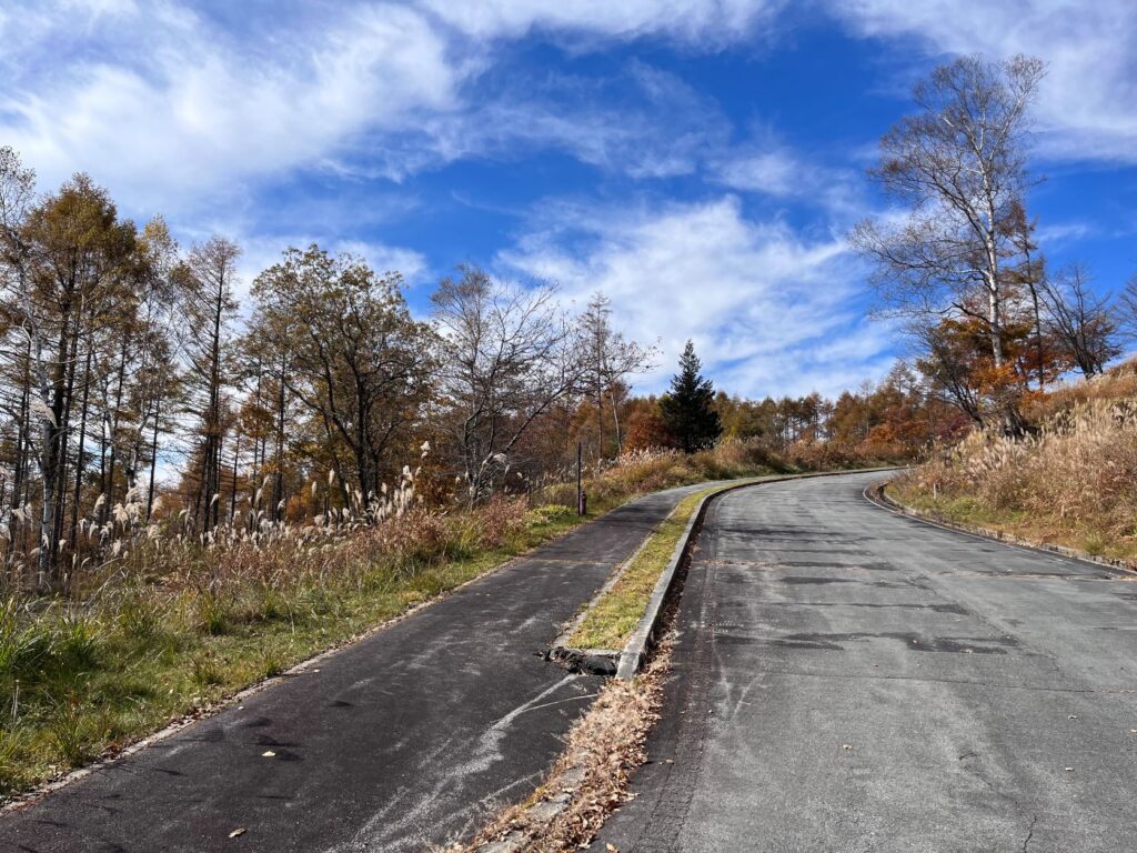 別荘地の紅葉
霧ヶ峰