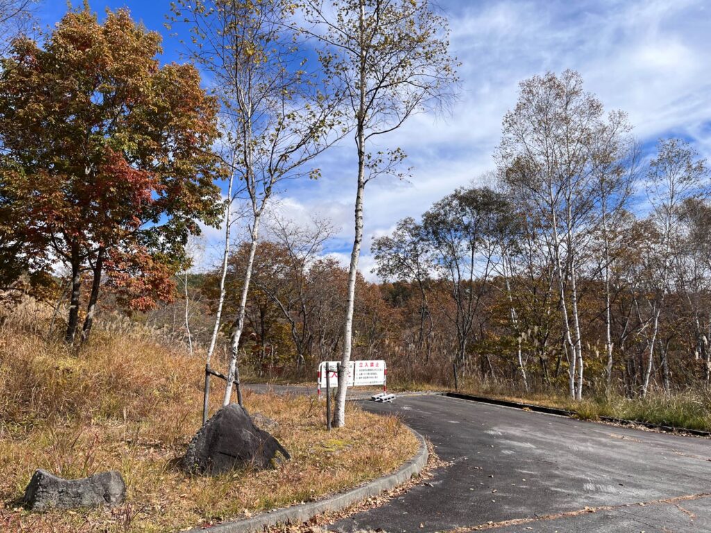 別荘地の紅葉
霧ヶ峰