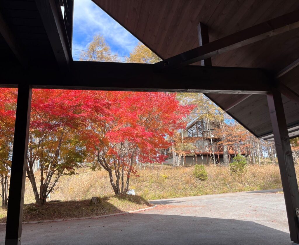 寒冷紗
霧ヶ峰
別荘の紅葉