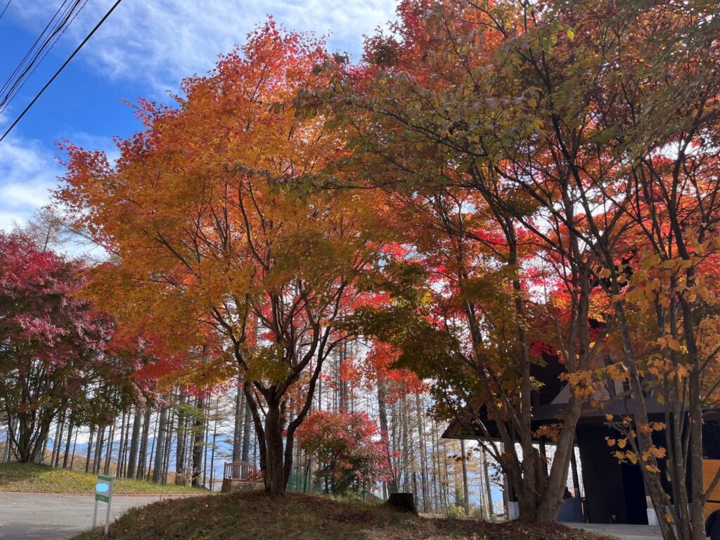 寒冷紗
霧ヶ峰
別荘の紅葉