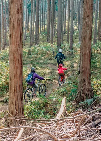 山梨MTBベースオートキャンプ場
山守人
南アルプスマウンテンバイク愛好会