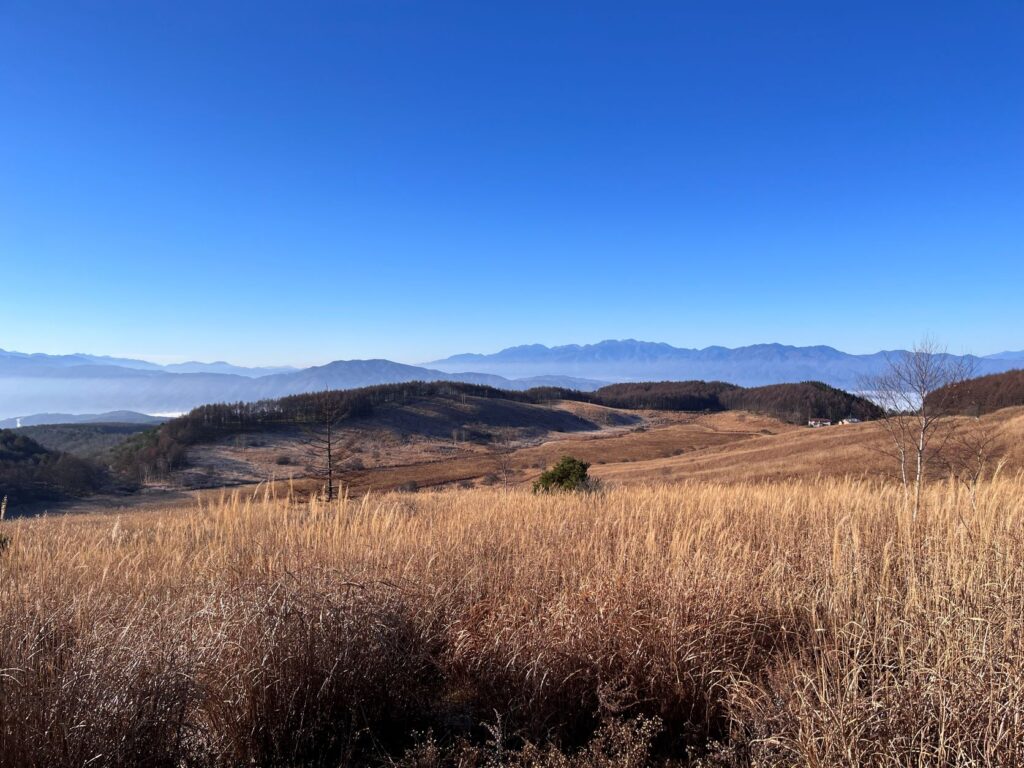 初冬の霧ヶ峰　強清水付近