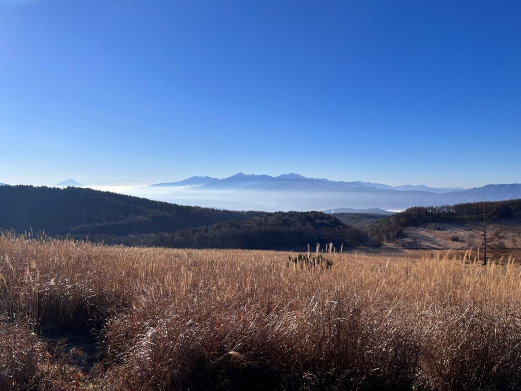 初冬の霧ヶ峰　強清水付近