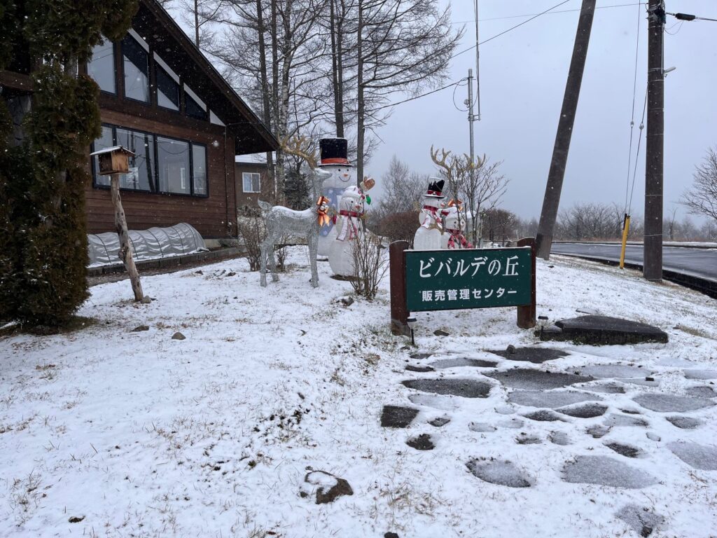 別荘地の冬